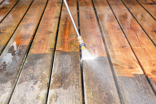Best Exterior Home Cleaning  in Haliimaile, HI