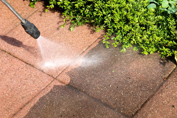 Best Best Pressure Washing Companies  in Haliimaile, HI